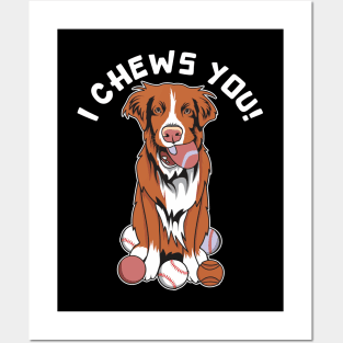 Funny Toller Nova Scotia Duck Tolling Retriever Chewing A Ball Posters and Art